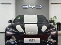 BYD's 
